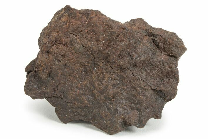 Chondrite Meteorite ( grams) - Western Sahara Desert #232915